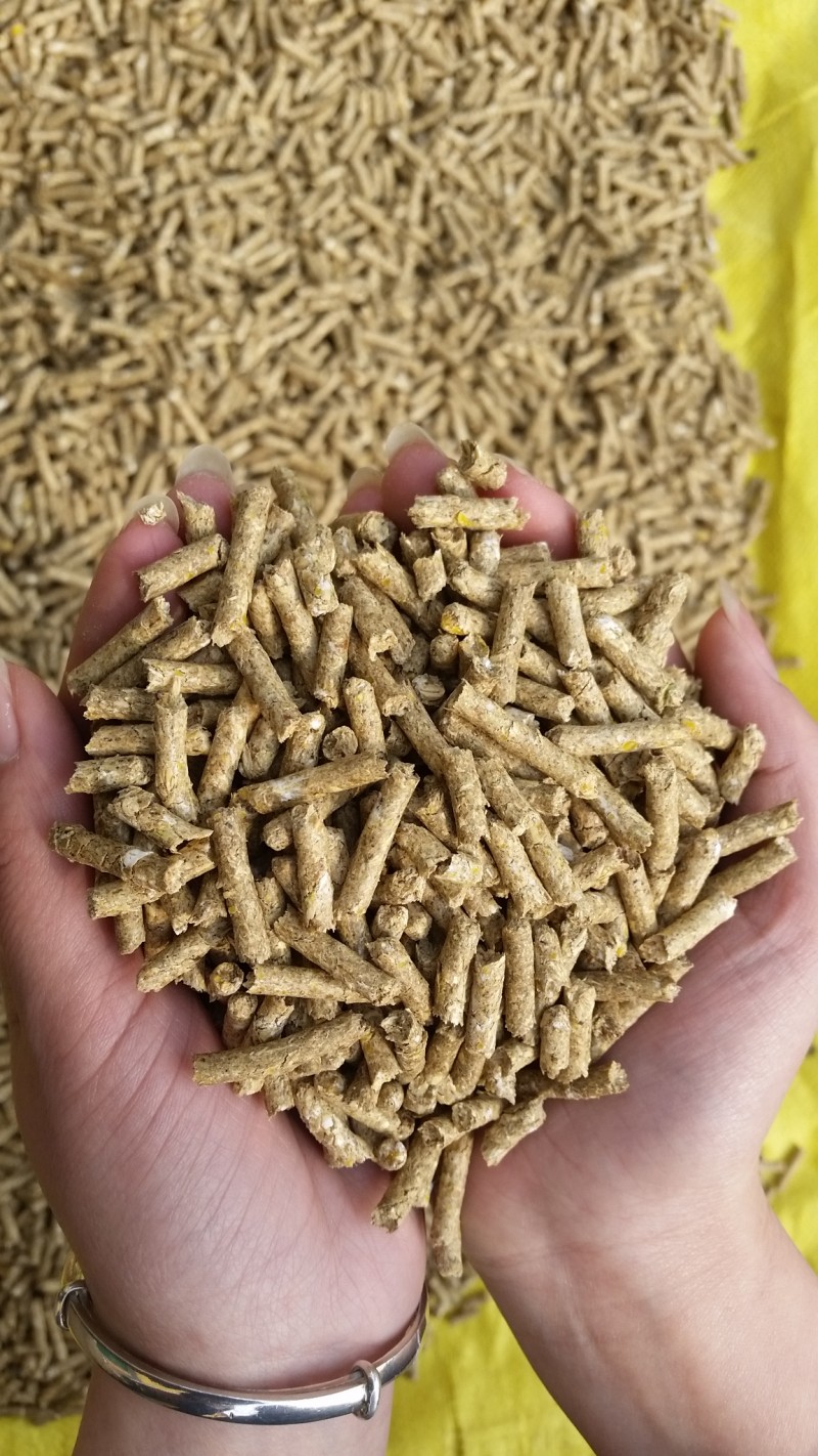 玉米秸稈飼料顆粒機 專業生產廠家助力養殖業高效轉型