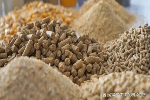 育肥羊應該如何選擇飼料和飼料添加劑?